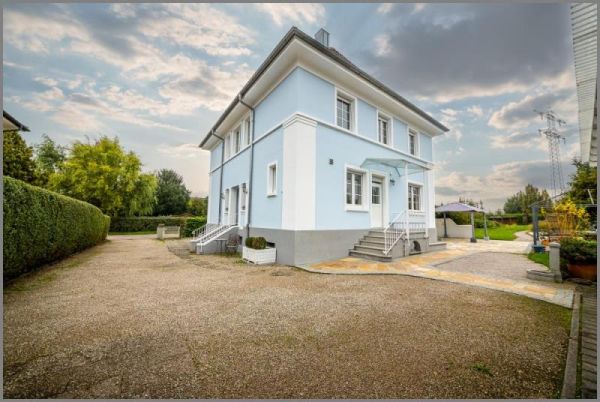 Hintereingang Terrassen von Wunderschöne Villa 1928 - modernisiert, großes Grundstück, Pool, erstklassige Lage!  in Achern bei Dhonau Immobilien-Makler Ortenau