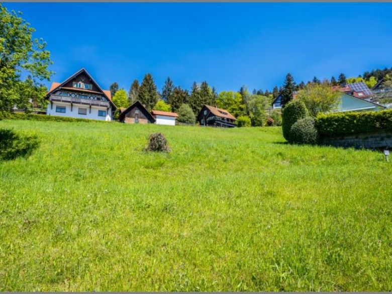 1.288 m² von Selten und wunderschön! Baugrundstück in Südhanglage mit Fernblick. in Sasbachwalden bei Dhonau Immobilien-Makler Ortenau