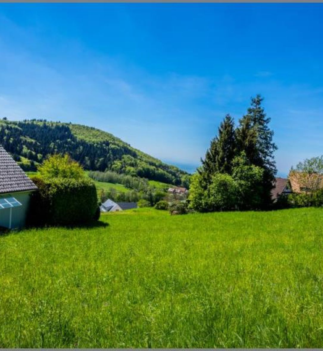 Im Schwarzwald 700 m. ü . M. von Selten und wunderschön! Baugrundstück in Südhanglage mit Fernblick. in Sasbachwalden bei Dhonau Immobilien-Makler Ortenau