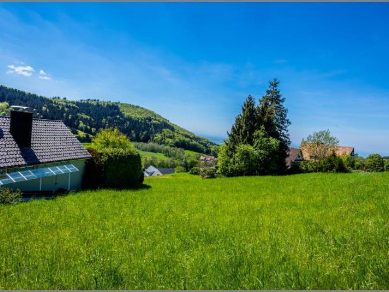 Im Schwarzwald 700 m. ü . M. von Selten und wunderschön! Baugrundstück in Südhanglage mit Fernblick. in Sasbachwalden bei Dhonau Immobilien-Makler Ortenau