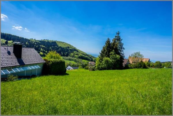 Im Schwarzwald 700 m. ü . M. von Selten und wunderschön! Baugrundstück in Südhanglage mit Fernblick. in Sasbachwalden bei Dhonau Immobilien-Makler Ortenau